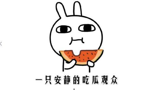 吃瓜群众另一种说法,揭秘“吃瓜群众”背后的真实故事